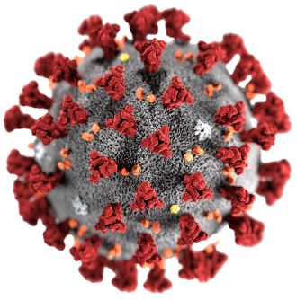 the coronavirus molecule