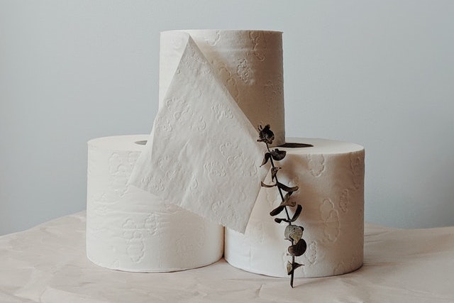 three rolls of toilet paper with a plant sprig